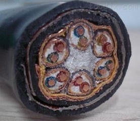 金东区高温防腐伴热电缆GWK-55W-PF2-380V天康集团