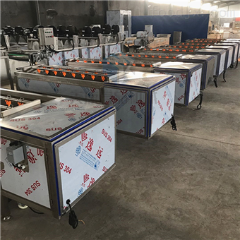 地黃去泥清洗機 地黃中草藥清洗深加工設備