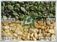 新鮮的蠶豆皮剝皮機 脫粒機