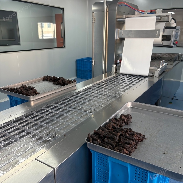 順利完成香腸拉伸膜真空包裝機組裝試機