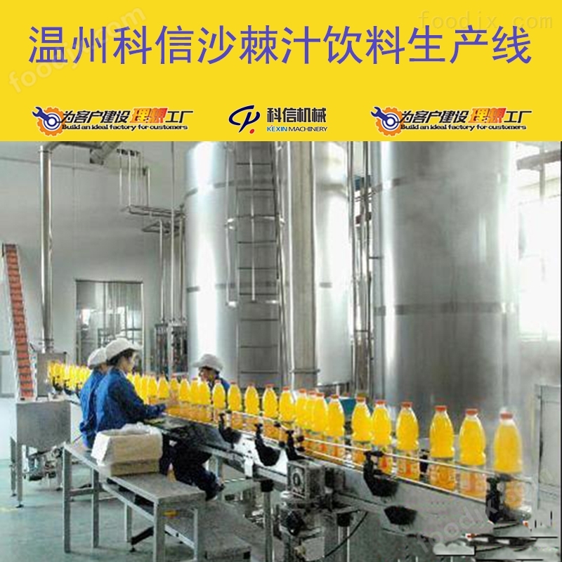 全自動(dòng)沙棘汁飲料生產(chǎn)線 廠家定制