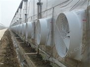 冷風(fēng)機(jī)濕簾空調(diào)