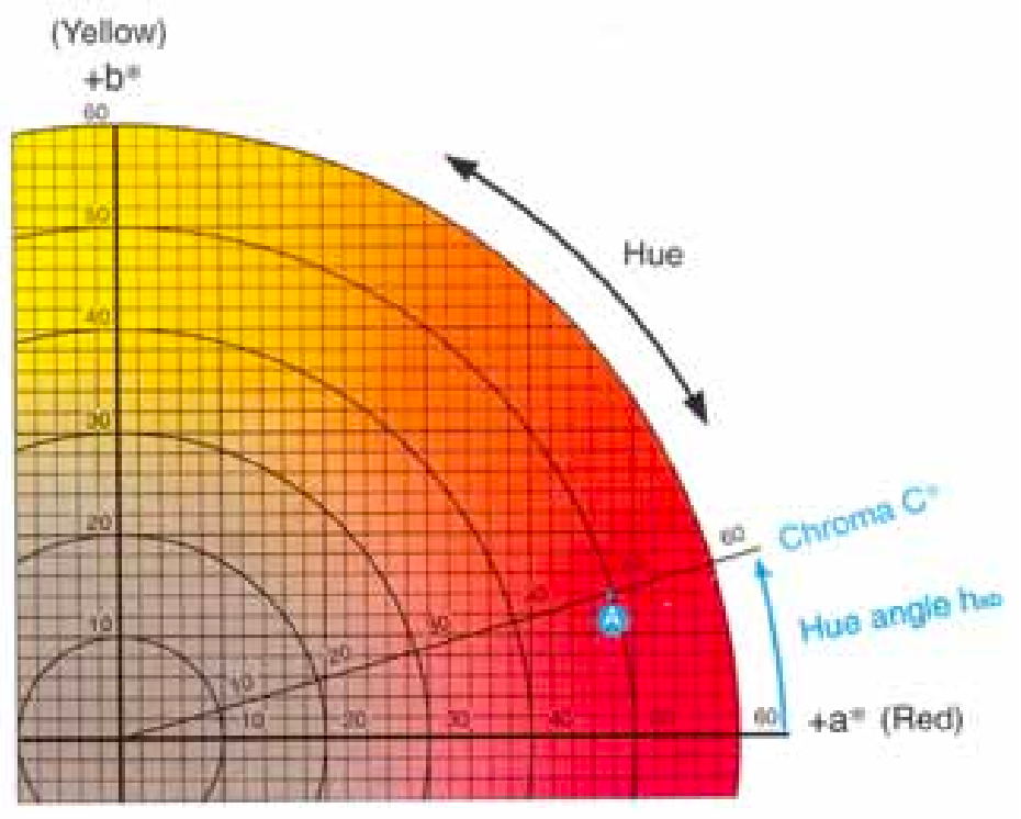 肉類顏色測量指南顏色和光線的物理