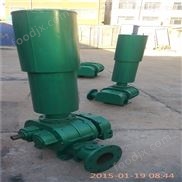 負(fù)壓羅茨風(fēng)機(jī)