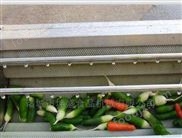 蘿卜清洗去皮機(jī) 毛輥清洗機(jī)生產(chǎn)廠家