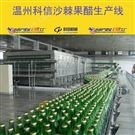 沙棘果醋制作設(shè)備 可定制